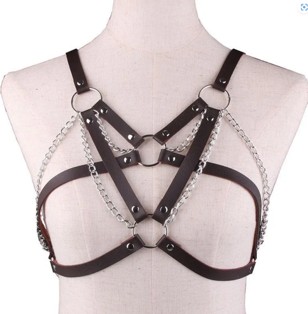 Leather and Chain Harness